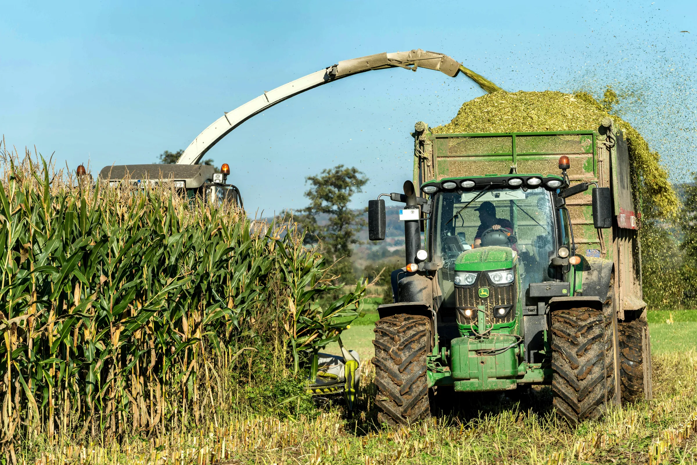 Moissonneuse John Deere récoltant un champ de maïs